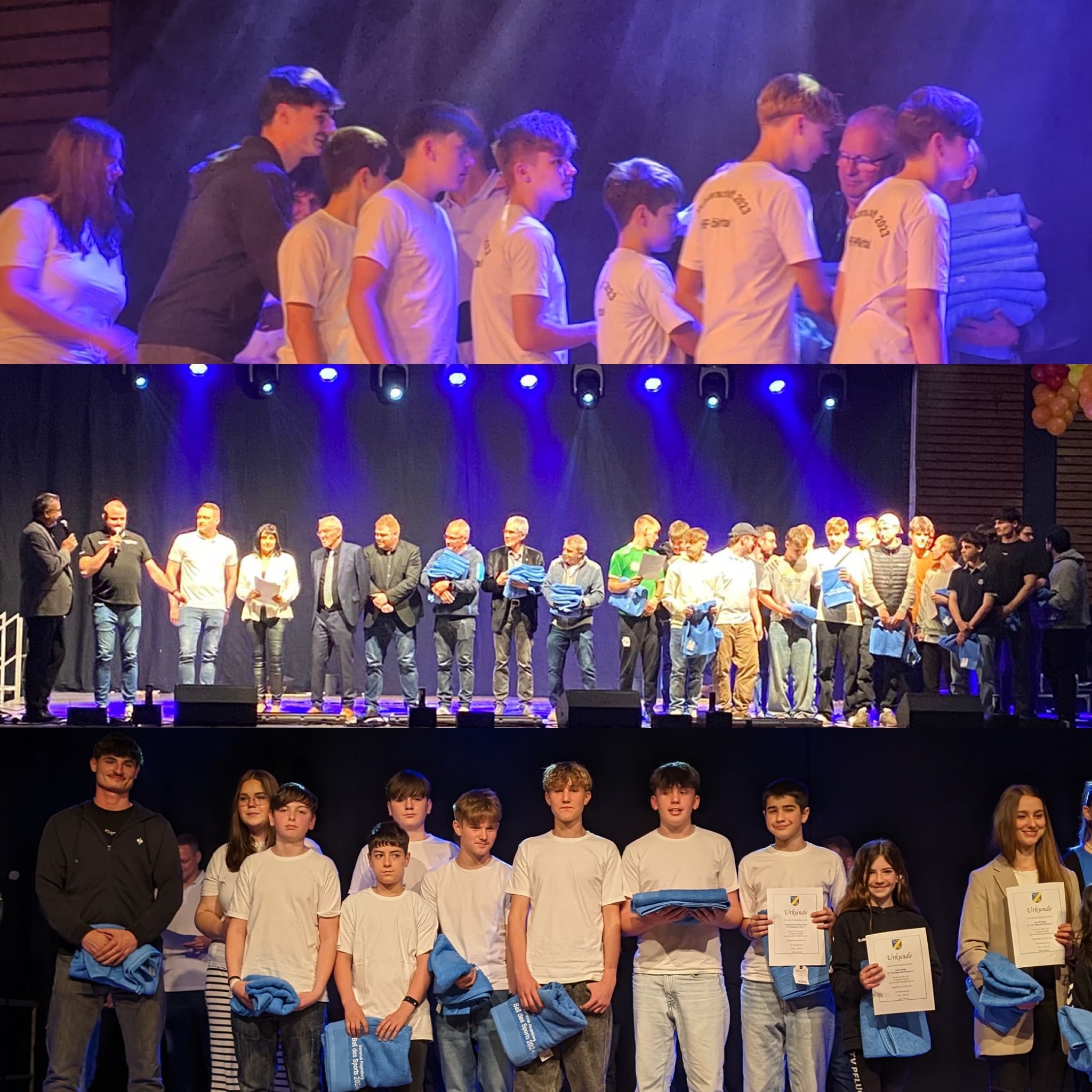 Ball des Sports 2024